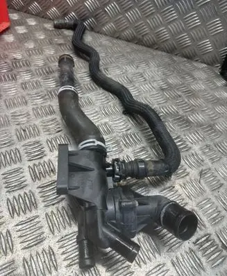 Thermostat/thermostat housing