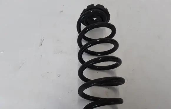Renault Captur Rear coil spring 550201983R