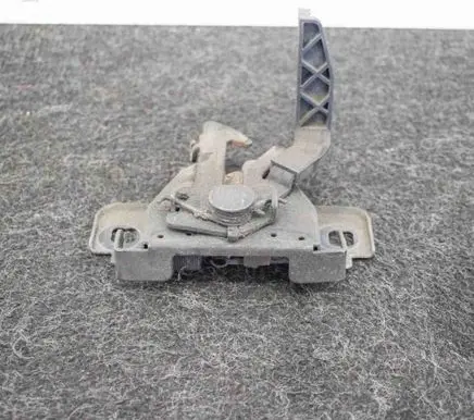 Dacia Sandero Engine bonnet/hood lock/latch loop/hook 