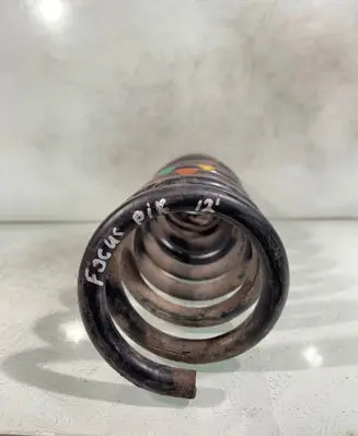 Rear coil spring