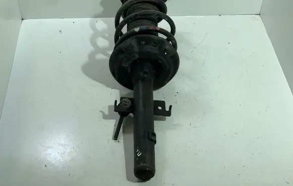 Renault Espace V (RFC) Front shock absorber with coil spring