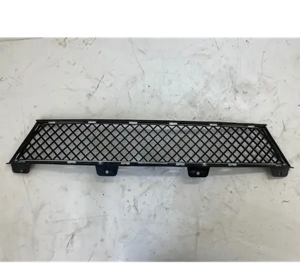 BMW Z4 E89 Front bumper lower grill 7203790