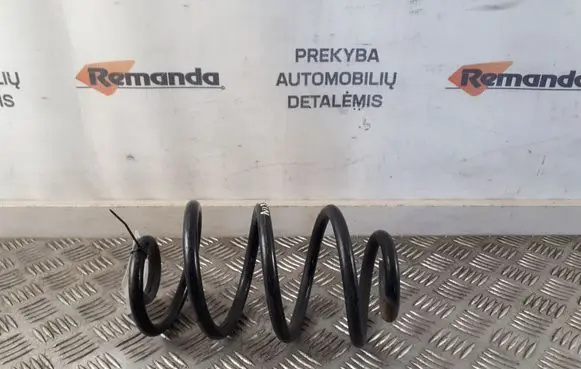 Rear coil spring