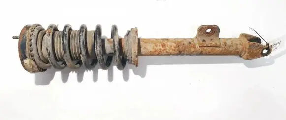 Dodge Magnum Front shock absorber/damper