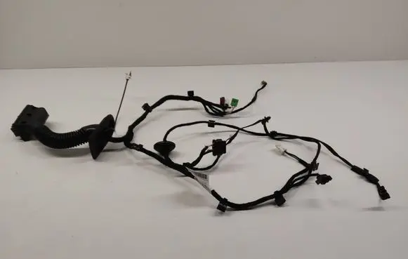 Front door wiring loom