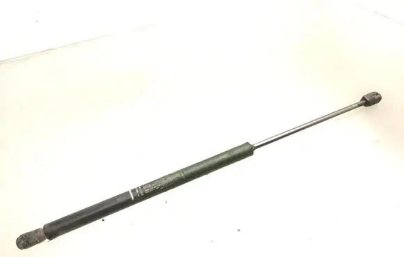 Tailgate/trunk strut/damper