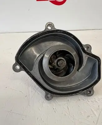 Porsche Cayenne (92A) Water pump 94810603301