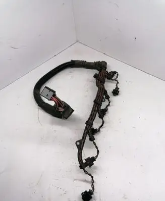 BMW 5 E39 Fuel injector wires 224941902