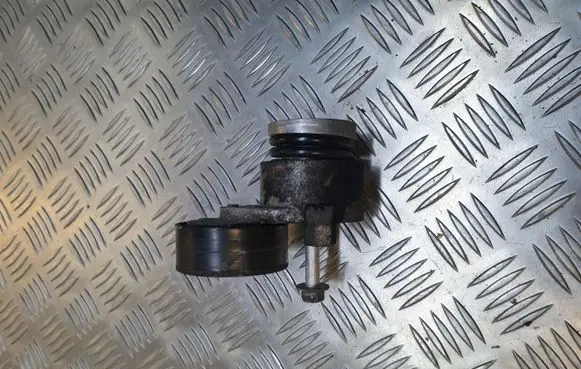 Dacia Duster Generator/alternator belt tensioner 117503662R