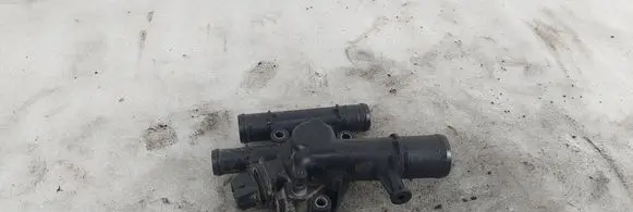 Thermostat/thermostat housing