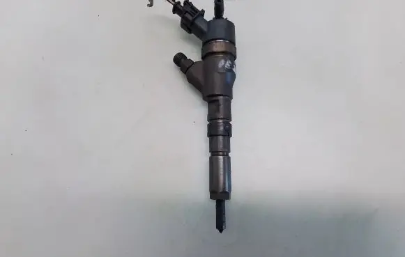 Peugeot 406 Fuel injector 0445110076