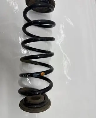 Rear coil spring