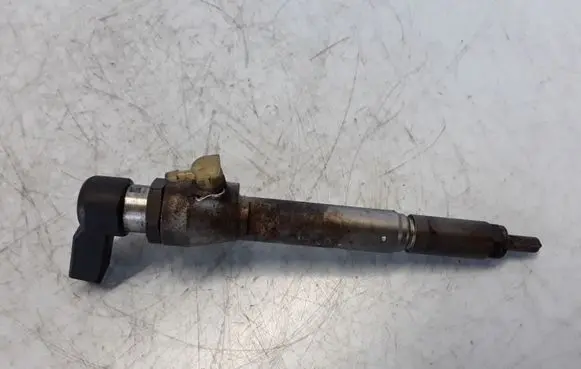Renault Megane III Fuel injector 8200294788