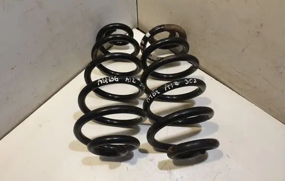 Rear coil spring
