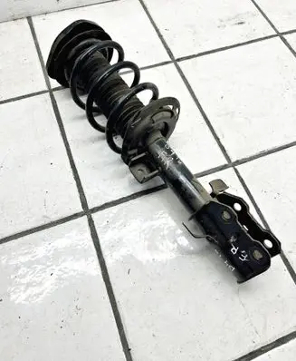 Ford Kuga III Front shock absorber with coil spring LX6118045