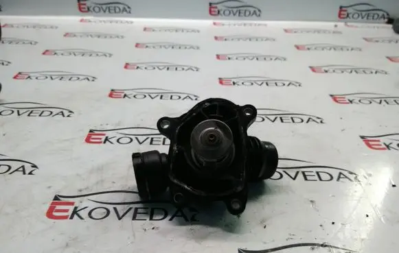Thermostat/thermostat housing