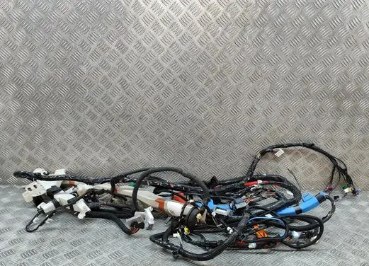 Tesla Model 3 Other wiring loom 306795503C