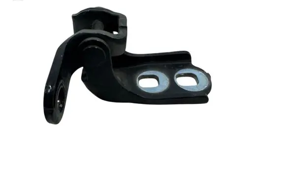 Opel Astra K Front door lower hinge P162266