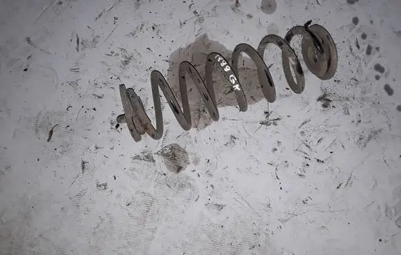 Volkswagen PASSAT B7 Rear coil spring NOCODE