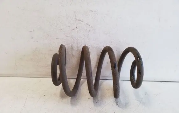 Nissan Leaf I (ZE0) Front coil spring 