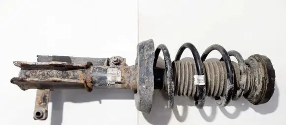 Opel Insignia A Front shock absorber/damper