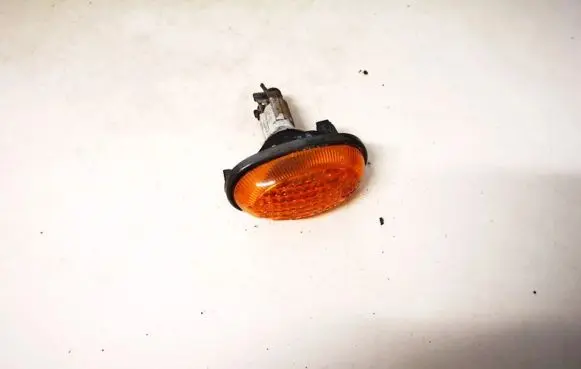 Front fender indicator light
