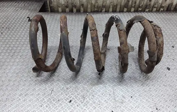 Hyundai Santa Fe Rear coil spring