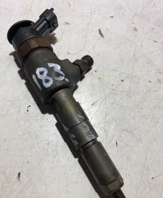 Peugeot 207 Fuel injector 0445110252