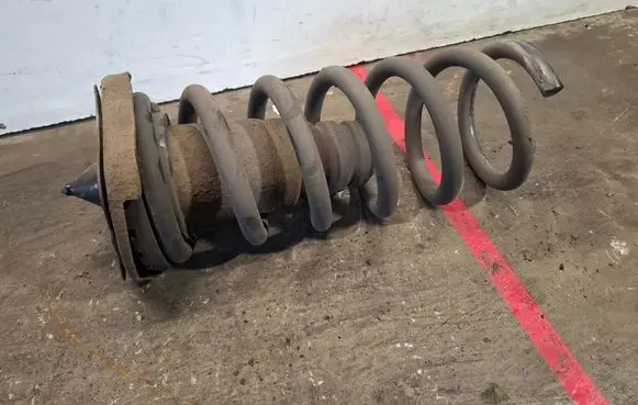 Rear coil spring