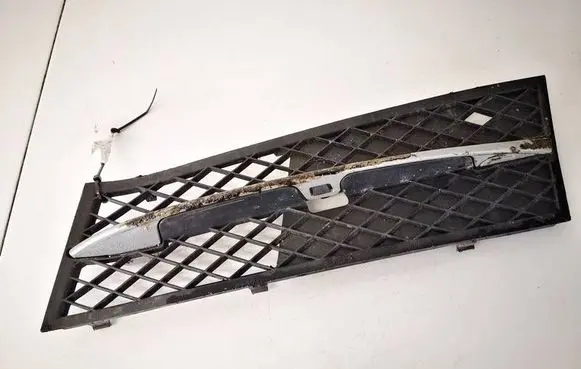 BMW 5 GT F07 Front bumper lower grill 51117200699 5111720069909