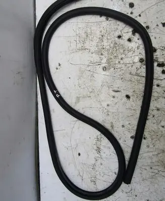 Ford Focus Rubber seal rear door 1111
