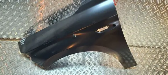 Fender