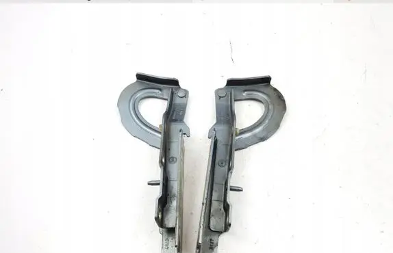 Citroen Jumpy Engine bonnet/hood hinges 