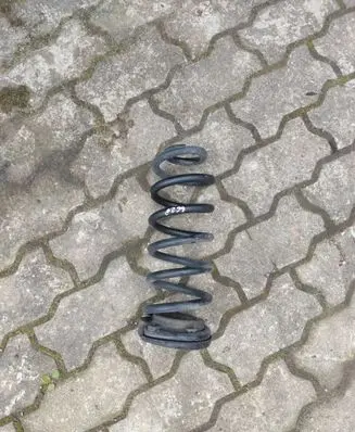 Rear coil spring