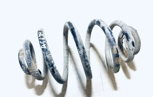 Volkswagen PASSAT B5 Rear coil spring
