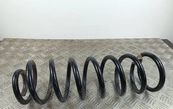 Rear coil spring