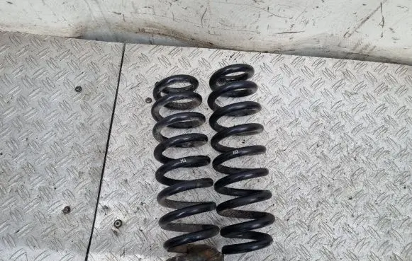 BMW X1 E84 Rear coil spring