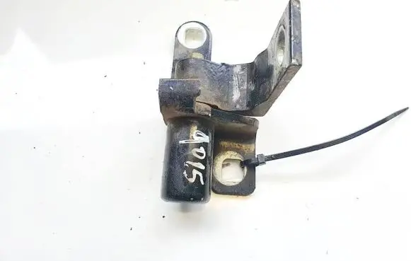 Ford S-MAX Rear door lower hinge