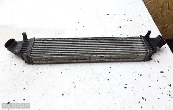 Mercedes-Benz S AMG W221 Intercooler radiator a221500100004