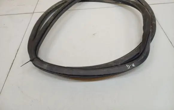 Volkswagen PASSAT B6 Rubber seal rear door 