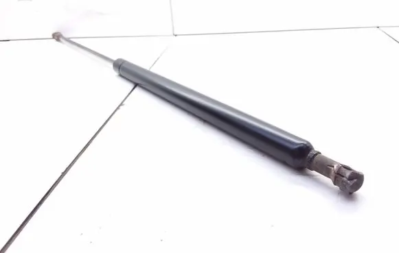Tailgate/trunk strut/damper