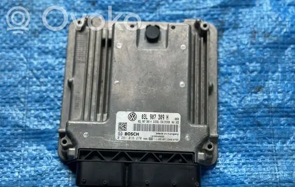 Volkswagen Transporter - Caravelle T5 Engine control unit/module 03L907309H 0281016270