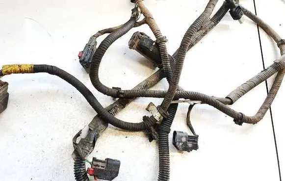 Tesla Model Y Other wiring loom 248905901a 2489059-01-a