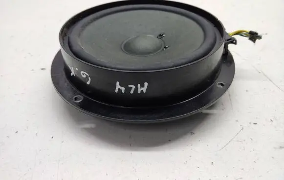 Rear door speaker