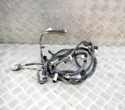 Tesla Model Y Other wiring loom 248905901A