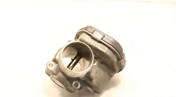 Throttle body valve