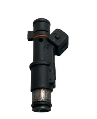 Peugeot 406 Fuel injector 01F004A H064 1612