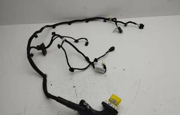 Rear door wiring loom