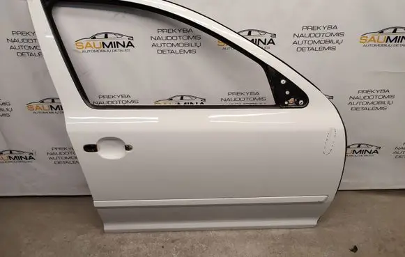 Skoda Octavia Mk2 (1Z) Front door