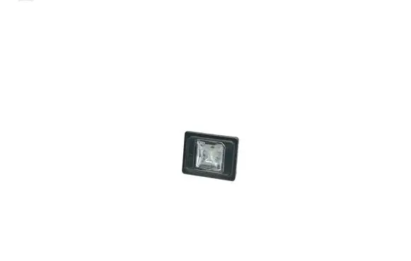 Number plate light